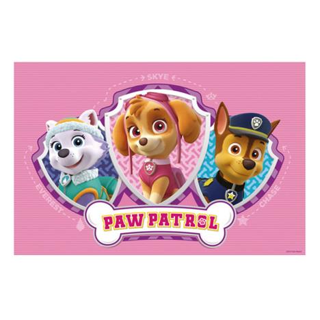Paw Patrol Placemat £1.59